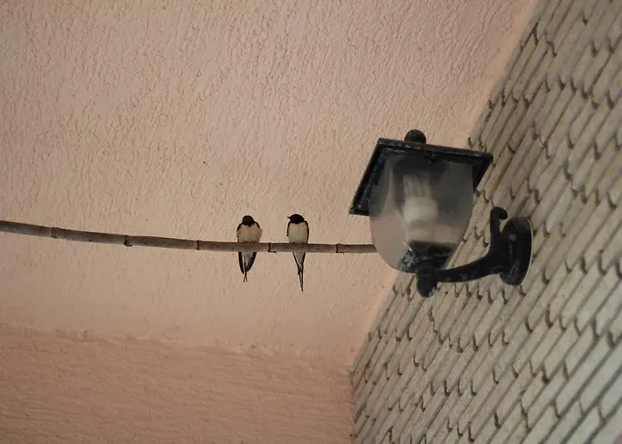 Nena * פובליאנה