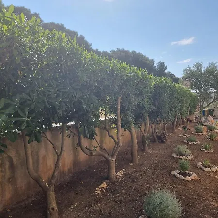 Nena דירה